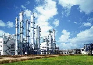 暑期實踐 逐夢化工小分隊